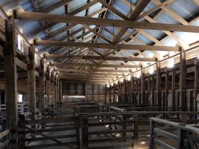 2020-03-01  Famous Tuppal 72-stand woolshed