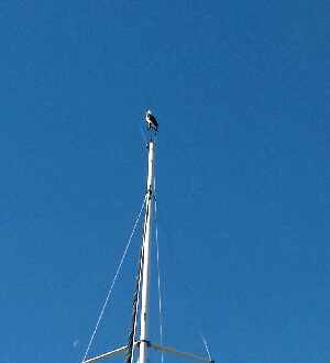 image2e6b4dbbc73f102f3d39c93d98f80a65