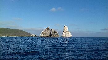 image6cdd7a879adbd8cd7aa5c3f5f1c485b4