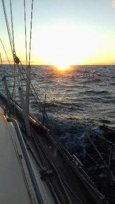 image8e6352a4a833c7b56dbd17e8c9d87fe0