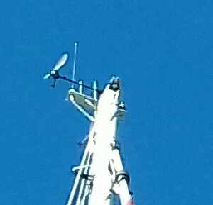 imageb3c53e8888852e2a6470827e1f5781b8